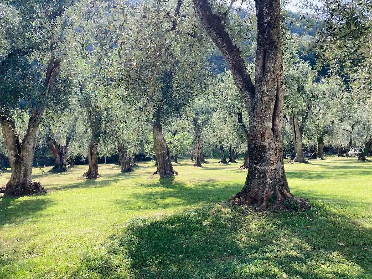 Hotel Garni Orchidea Malcesine