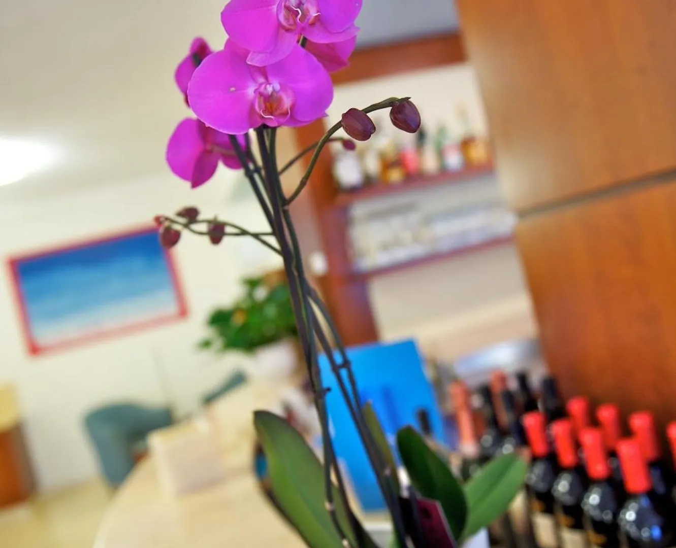 Hotel Garni Orchidea 말세진느