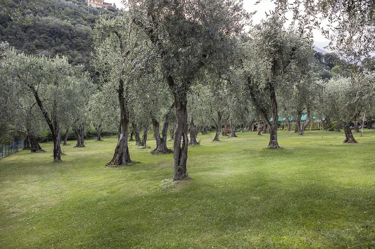 Hotel Garni Orchidea Malcesine Italy